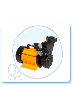 Self Priming Pumps - P100